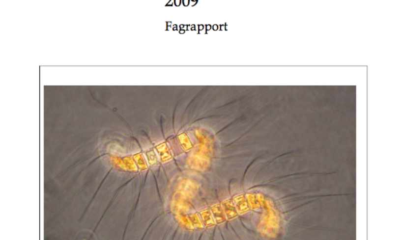 2010_Fagrapport_Tilførsel og vannmasseundersøkelser2009 2010_Fagrapport_Tilførsel og vannmasseundersøkelser2009