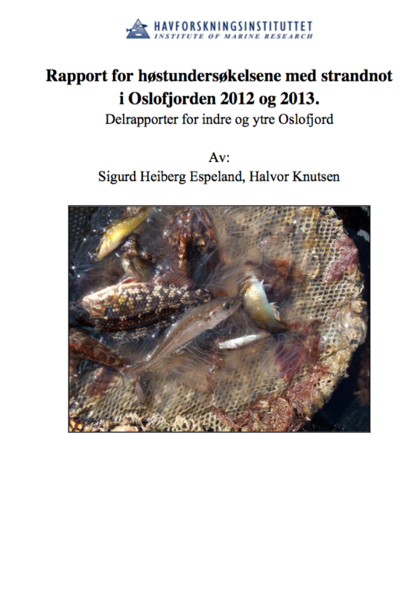 2013_Rapport strandnot Oslofjorden 2012-2013